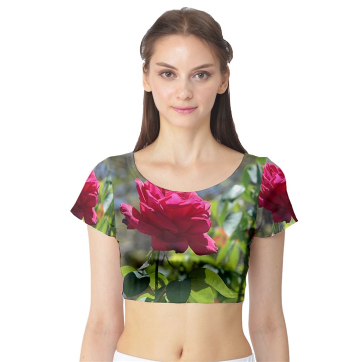 RED ROSE 1 Short Sleeve Crop Top