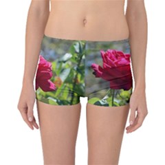 Red Rose 1 Boyleg Bikini Bottoms