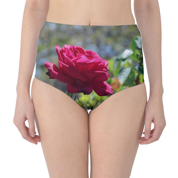 RED ROSE 1 High-Waist Bikini Bottoms