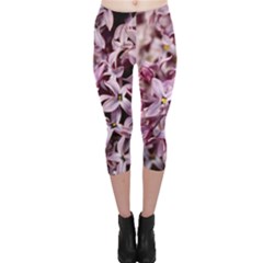 Purple Lilacs Capri Leggings