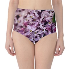 Purple Lilacs High-waist Bikini Bottoms by trendistuff