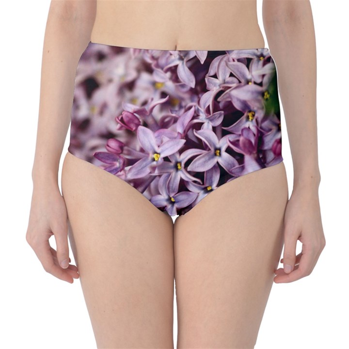 PURPLE LILACS High-Waist Bikini Bottoms