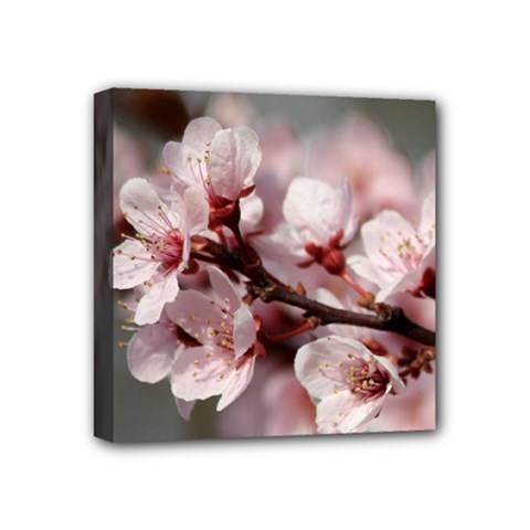 Plum Blossoms Mini Canvas 4  X 4  by trendistuff