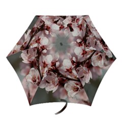 Plum Blossoms Mini Folding Umbrellas by trendistuff