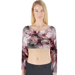 Plum Blossoms Long Sleeve Crop Top