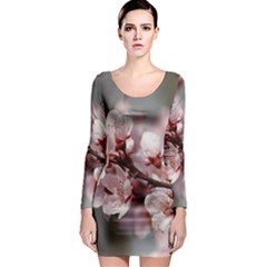 Plum Blossoms Long Sleeve Bodycon Dresses