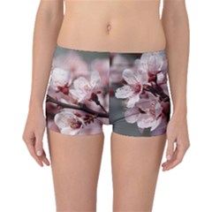 Plum Blossoms Boyleg Bikini Bottoms by trendistuff