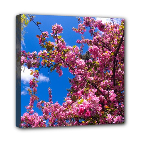 Pink Flowers Mini Canvas 8  X 8  by trendistuff