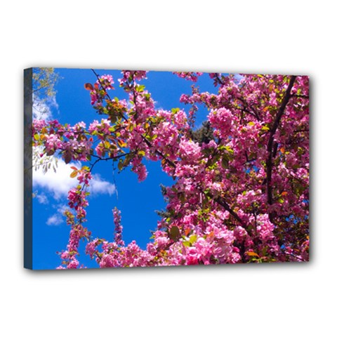 Pink Flowers Canvas 18  X 12  by trendistuff