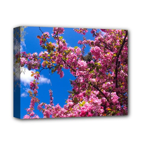 Pink Flowers Deluxe Canvas 14  X 11  by trendistuff