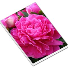 Paeonia Eleanor Large Memo Pads by trendistuff