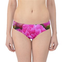 Paeonia Eleanor Hipster Bikini Bottoms