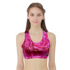 Paeonia Eleanor Women s Sports Bra With Border by trendistuff