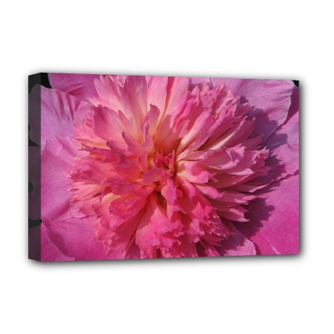 Paeonia Coral Deluxe Canvas 18  X 12   by trendistuff