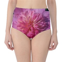 Paeonia Coral High-waist Bikini Bottoms