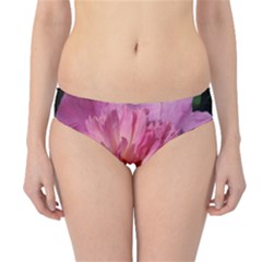 Paeonia Coral Hipster Bikini Bottoms