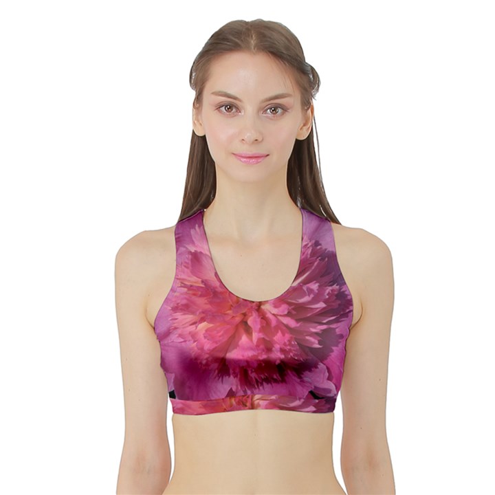 PAEONIA CORAL Women s Sports Bra with Border