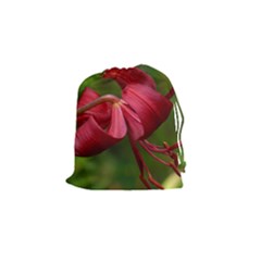 Lilium Red Velvet Drawstring Pouches (small) 