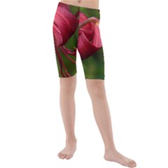 Lilium Red Velvet Kid s Mid Length Swim Shorts