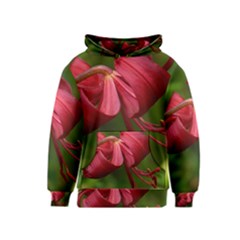 Lilium Red Velvet Kid s Pullover Hoodies by trendistuff