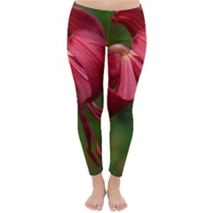 Lilium Red Velvet Winter Leggings 