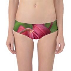 Lilium Red Velvet Classic Bikini Bottoms