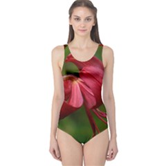 Lilium Red Velvet One Piece Swimsuit by trendistuff