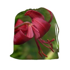 Lilium Red Velvet Drawstring Pouches (xxl)