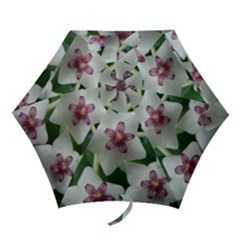 Hoyabella Mini Folding Umbrellas