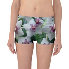 Hoyabella Boyleg Bikini Bottoms by trendistuff