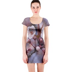 Cherry Blossoms Short Sleeve Bodycon Dresses