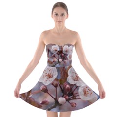 Cherry Blossoms Strapless Bra Top Dress