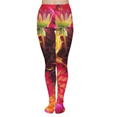 Bunch Of Flowers Women s Tights by trendistuff