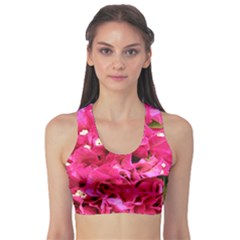 Bougainvillea Sports Bra