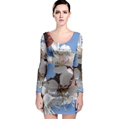 Apricot Blossoms Long Sleeve Bodycon Dresses