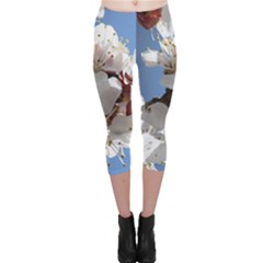 Apricot Blossoms Capri Leggings