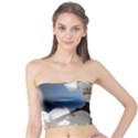 APRICOT BLOSSOMS Women s Tube Tops View1