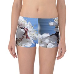 Apricot Blossoms Reversible Boyleg Bikini Bottoms