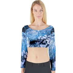 Svmnafellsjvkull Long Sleeve Crop Top