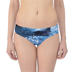 Svmnafellsjvkull Hipster Bikini Bottoms