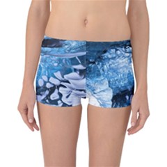 Svmnafellsjvkull Reversible Boyleg Bikini Bottoms