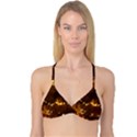 SKOCJAN CAVES Reversible Tri Bikini Tops View1