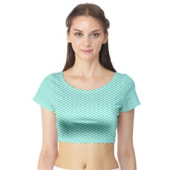 Tiffany Aqua And White Chevron Wavy Zigzag Stripes Short Sleeve Crop Top by PaperandFrill