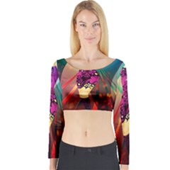 The Dreamer Long Sleeve Crop Top