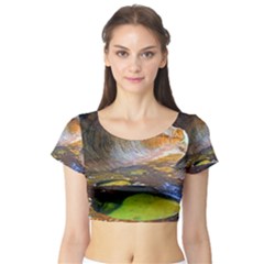 Left Fork Creek Short Sleeve Crop Top by trendistuff