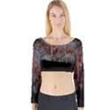 CAVES OF DRACH Long Sleeve Crop Top View1