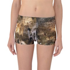 Carlsbad Caverns Reversible Boyleg Bikini Bottoms