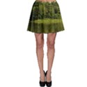 PEMBROKE CASTLE Skater Skirts View1