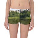 PEMBROKE CASTLE Reversible Boyleg Bikini Bottoms View3