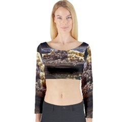 Palace Of Versailles 3 Long Sleeve Crop Top